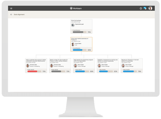 Workteam visual OKR alignment view